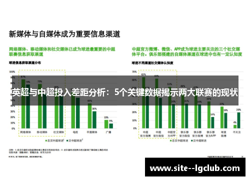 英超与中超投入差距分析：5个关键数据揭示两大联赛的现状