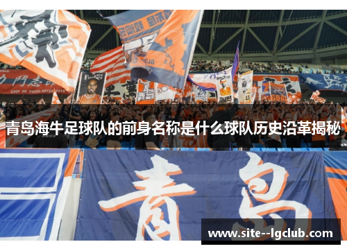 青岛海牛足球队的前身名称是什么球队历史沿革揭秘 青岛海牛足球队的前身名称是什么球队历史沿革揭秘