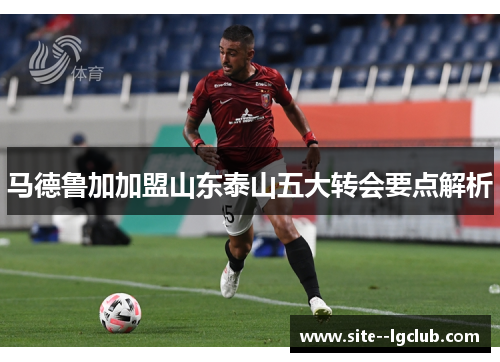 马德鲁加加盟山东泰山五大转会要点解析